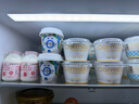 OarmiLk低糖酸奶120g*2杯0乳糖生牛乳发酵营养早餐低温酸奶 实拍图