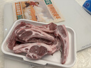 西鲜记宁夏盐池滩羊法式羔羊羊排原切净重1斤肩排附调料羊肉带骨羊排 实拍图