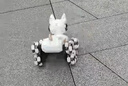 科学怪兽AI智能语音机器狗遥控汽车儿童玩具机器人男孩生日六一儿童节礼物 实拍图