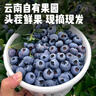 晟容果蔬云南花香蓝莓【空运-多地次日达】孕妇当季鲜果应季新鲜水果送礼 金奖·巨无霸 | 单果20-26mm 12盒装【囤货-全家畅吃】100g/盒 实拍图