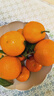 京鲜生 爱媛果冻橙 净重10斤装 单果180g起 生鲜水果柑橘桔子年货礼盒  实拍图