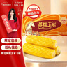 十月稻田 黄糯玉米 3.52斤(220g*8根) 东北粘苞米 早餐杂粮 马年限定 实拍图