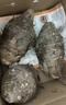 生鲜密语广西荔浦芋头 地标农产品 正宗荔浦芋 新鲜香芋 火锅食材生鲜蔬菜 【大芋】5-8个9斤 净重8.8斤 1份装（芋香浓郁） 实拍图