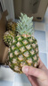京鲜生  海南金钻凤梨 4粒装 单果2斤起 生鲜水果 实拍图