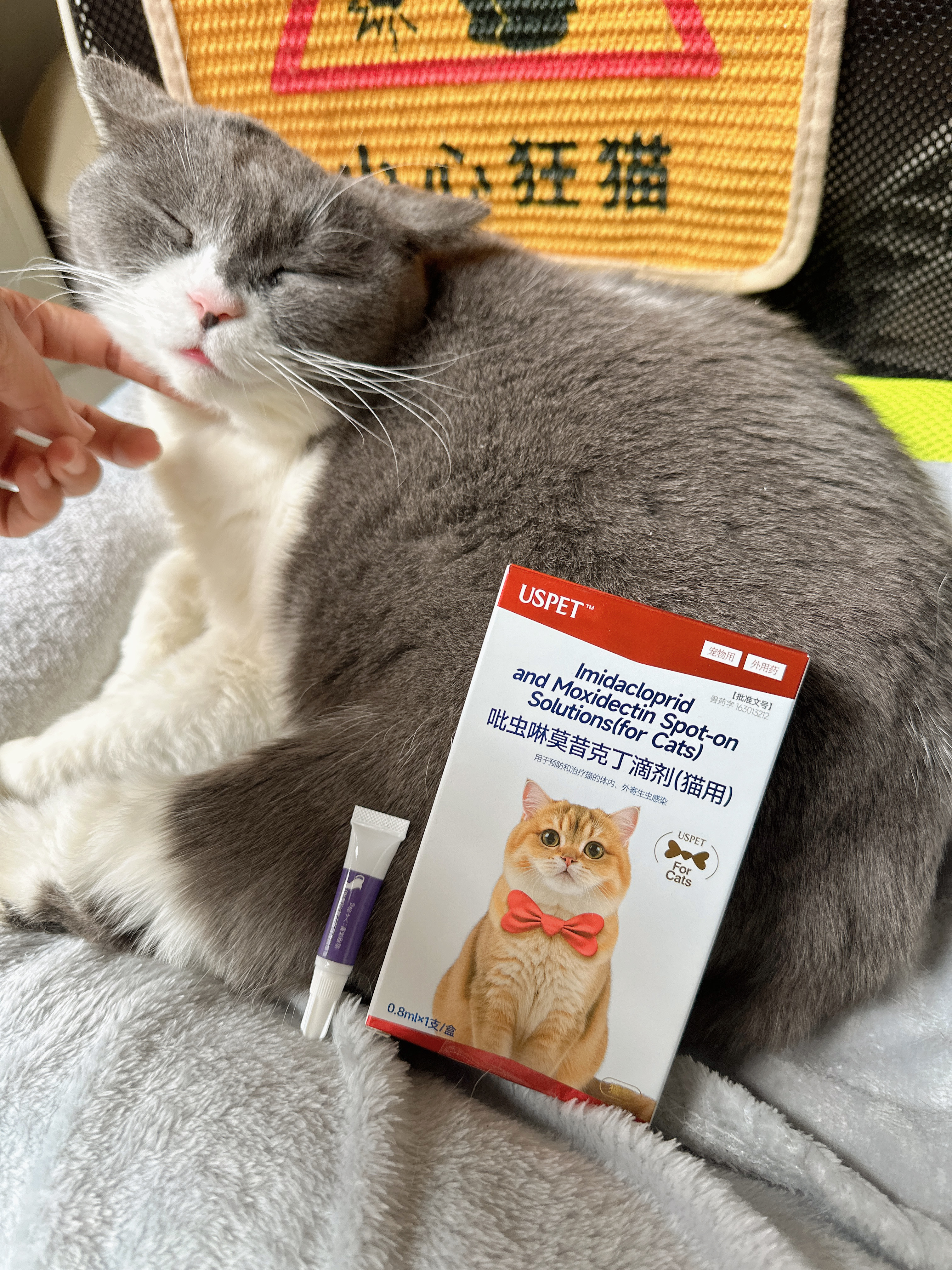 USPET英国宠物驱虫药猫咪驱虫内外一体吡虫啉莫昔克丁滴剂1支*0.8ml/盒 实拍图