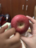 京鲜生陕西洛川红富士净重5斤75-80mm单果170g+新鲜水果源头直发 实拍图