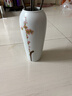 景德镇陶瓷花瓶摆件客厅插花落地高级感种花盆大复古陶罐水养中式 水点桃花高号【手绘款】可水培 实拍图