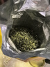 乐品乐茶碧螺春绿茶2025新茶明前特级嫩芽春茶自己喝茶叶礼盒装250g送礼 实拍图