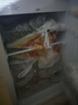 海信95L单门小冰箱一级能效直冷白色独立微冻空间节能低噪精储宿舍电冰箱BC-95S/A海信棉花糖 实拍图