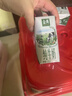 伊利金典纯牛奶整箱 200ml*12盒 3.6g乳蛋白 原生高钙 年货礼盒装 实拍图