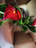 红掌盆栽白粉掌一帆风顺带花特大号花卉室内客厅面水培植物好养 约30cm2盆红掌-2个早安盆 带盆栽好 实拍图
