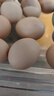 京鲜生 无抗保洁鲜鸡蛋30枚/盒 健康轻食 礼盒送礼 1.5kg/盒 源头直发 实拍图
