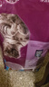 伟嘉猫粮成猫全价猫粮亮毛均衡营养10kg海洋鱼味夹心粮【原料透明】 实拍图