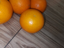 京鲜生 冰糖橙/橙子 5斤装 单果150-200g 生鲜水果年货礼盒 实拍图