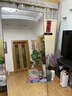 全品屋全身镜穿衣镜落地镜挂门服装店试衣壁挂镜一体简约北欧风黑180 实拍图