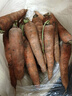 河南新鲜带泥胡萝卜农家水果萝卜应季早餐蔬菜红薯营养减脂食品 胡萝卜5斤净重 200g+/支 实拍图