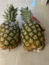 佳农 菲律宾进口菠萝 2个装 凤梨 单果净重2斤 生鲜水果源头直发 包邮 实拍图