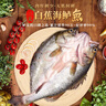仙泉湖三去白蕉海鲈鱼1斤/条净膛冷冻刺少肉厚珠海特产500g生鲜年货食材 实拍图