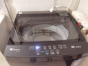 小天鹅（LittleSwan）波轮洗衣机全自动家用 12KG大容量 TB12-1809T 以旧换新 国家补贴 京东自营 一级能效 实拍图
