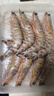 哆鲜生 海捕竹节虾 野外生长活冻国产斑节虾大花对虾九节竹节鬼虾虾类 竹节虾 大号 7-9条 300g(净重) 实拍图