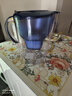 碧然德（BRITA）过滤净水器 家用滤水壶 净水壶 海洋系列 3.5L（蓝）+专家版滤芯5枚 环保加固包装 实拍图