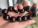 紫辰檀《千年树龄老料》满金星印度小叶紫檀手串文玩佛珠子男女款满天星 满金星紫檀手串20mm12颗葫芦款 实拍图