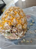 广东徐闻香水菠萝新鲜水果生鲜热带孕妇水果整箱包邮 【限时低价】1个装  净重650g起 实拍图
