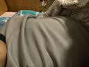 猫人儿童内衣套装纯棉男童秋衣秋裤半高领青少年打底内衣 藏青 140 实拍图