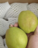 京鲜生 新疆库尔勒香梨 净重10斤 特级 单果120g以上 生鲜水果 实拍图