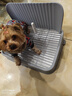 HELLOJOY狗狗厕所中小型犬防踩屎尿盆宠物用品小狗狗砂盆拉屎便盆专用大号 实拍图