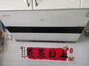 京东家政清洗 家用抽油烟机免拆洗 家电清洗上门服务清洁保养保洁 实拍图
