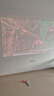 极米Z9X 4K 全新轻薄4K光学变焦投影 1600ISO 真实高亮 家用智能云台投影仪 国家补贴 38节礼物送女友 实拍图