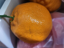 农夫山泉 17.5°橙 净重8斤 铂金果 赣南地区脐橙 生鲜水果橙子年货礼盒 实拍图