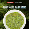 乐品乐茶特级毛尖茶叶绿茶2025明前春茶新茶自己喝过年货礼盒装250g送长辈 实拍图