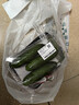【水果菜】荷兰水果黄瓜约400g 实拍图