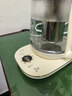小熊（Bear）养生壶煮茶壶煮茶器 多功能保温一体烧水壶恒温水壶 316L母婴级煮水壶 1.5L YSH-E15M1 实拍图