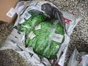 玛仕福塑料膨胀管 绿色胶塞飞机型胶粒墙塞锚栓螺丝管涨塞 M6（1000个） 实拍图