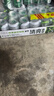 雪花啤酒（Snowbeer）清爽 330ml*24听 口感冰爽 京东自营 新年送礼 实拍图