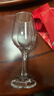 青苹果红酒杯醒酒器套装 350ml高脚杯*6+醒酒器*1 葡萄酒杯饮料杯白酒杯 实拍图