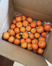 京鲜生 砂糖橘/砂糖桔 净重5斤精品果 生鲜水果年货礼盒  实拍图