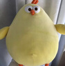 名创优品（MINISO）dundun鸡毛绒公仔墩墩鸡玩偶抱枕毛绒玩具生日礼物女 加大号42cm 实拍图
