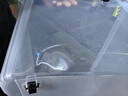 禧天龙塑料衣物收纳箱玩具整理箱车载储物箱55L 透明 1个装 带轮 实拍图