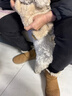 宜品达泰迪衣服狗狗衣服宠物小型犬狗狗衣服秋冬季保暖比熊博美幼犬加厚 浅棕色XL码（建议8.5-12斤） 升级优质珊瑚绒-【加绒加厚】 实拍图