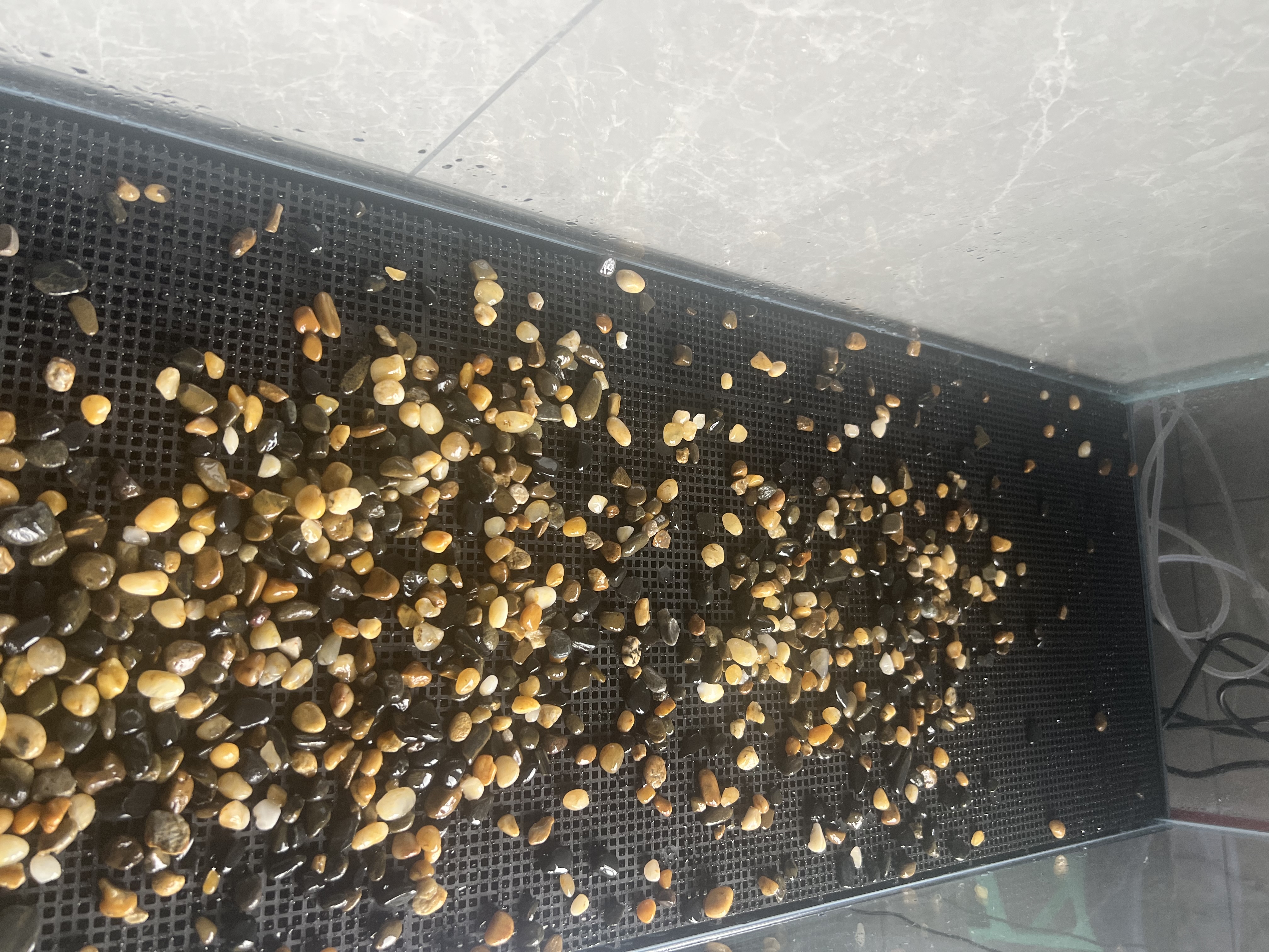 海谙鱼缸底滤板滤材隔板过滤垫板水族网格板隔离板乌龟缸鱼缸底滤垫板 15片黑色0.4cm加密隔板30*15+90脚钉 实拍图