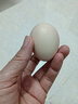 京鲜生 无抗保洁鲜鸡蛋30枚/盒 健康轻食 礼盒送礼 1.5kg/盒 源头直发 实拍图