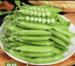 新鲜甜豌豆农家自种新鲜蔬菜豆角豆米现摘现发豌豆荚 净重9斤 实拍图