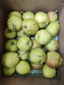 亨迅【新疆直邮】新疆库尔勒香梨子 应季时令水果生鲜 净重5斤装 精品单果80g+ 实拍图