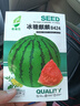 【亏本冲量】8424麒麟少籽西瓜种子无籽特大高产巨型甜王四季水果 8424西瓜种子/包约50粒 1包 实拍图