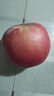 京鲜生 烟台红富士苹果 净重10斤 单果220g以上 水果礼盒 实拍图
