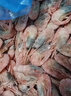 禧美海产加拿大熟冻北极甜虾1斤/袋 65-85只 (MSC认证) 海鲜水产 轻食海鲜 实拍图